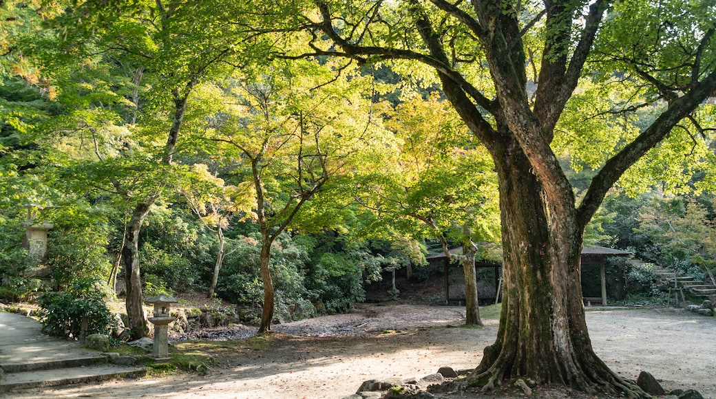 宮島