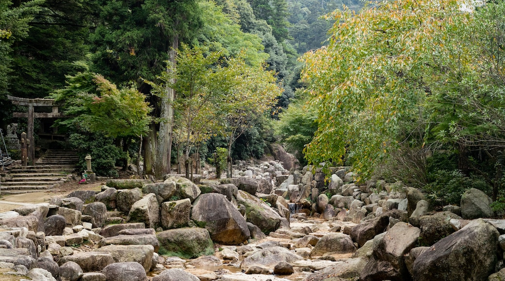 Daisho-in featuring a river or creek and forest scenes