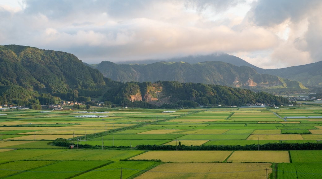 Oita Prefecture