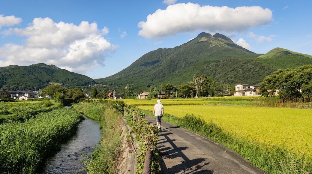 Kyushu and Okinawa