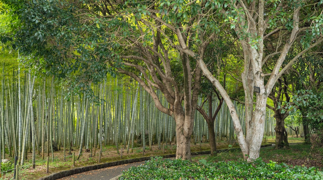 Parque de Beppu