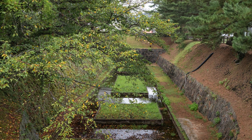 Castillo de Hiji