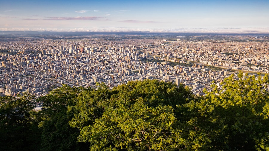 Moiwa Ropeway