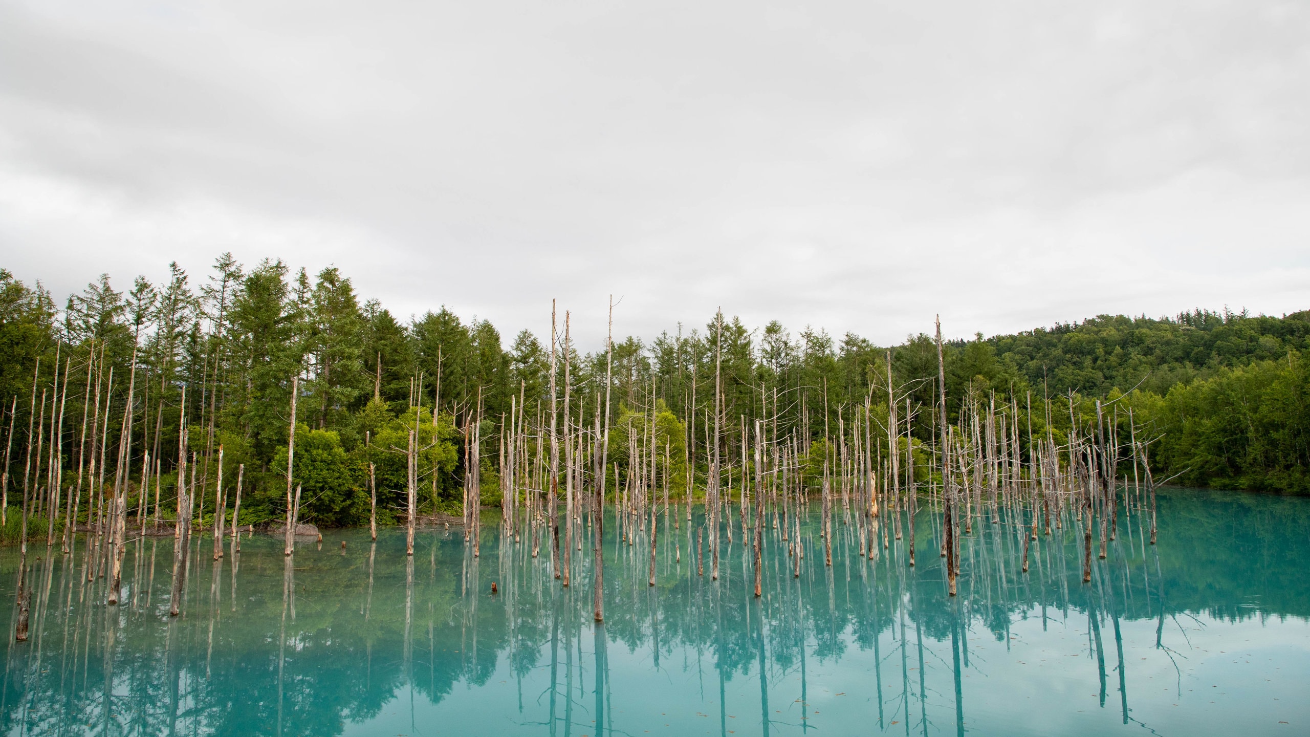 Visit Asahikawa 2024 Travel Guide for Asahikawa, Hokkaido Prefecture