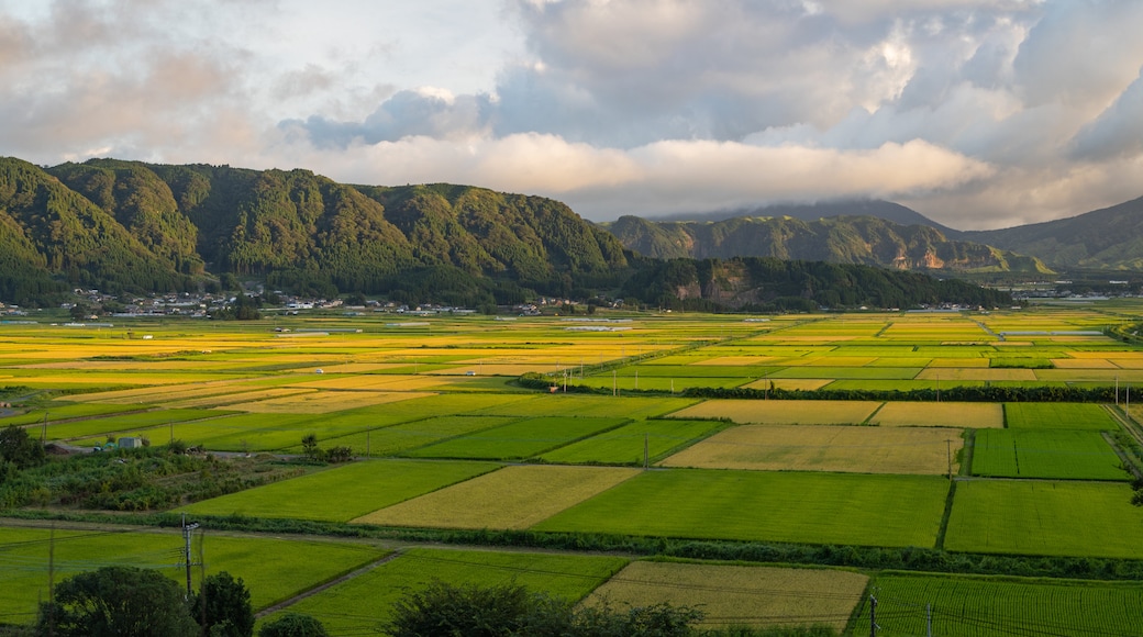 Kumamoto showing landscape views, a sunset and farmland