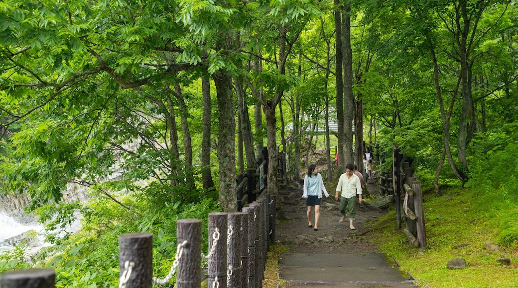 富良野