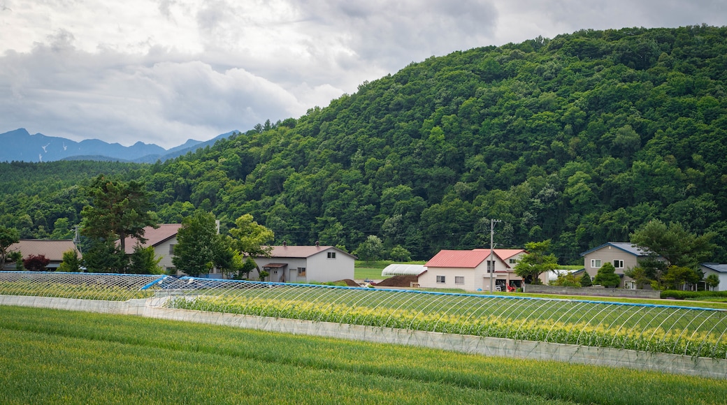 Furano