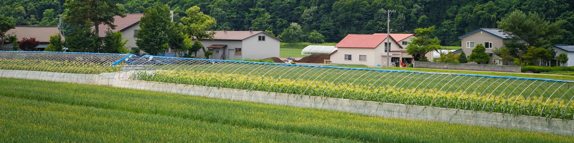 富良野, 北海道, 日本