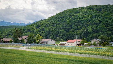 Furano