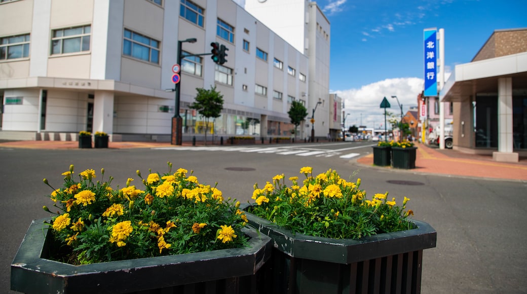 富良野