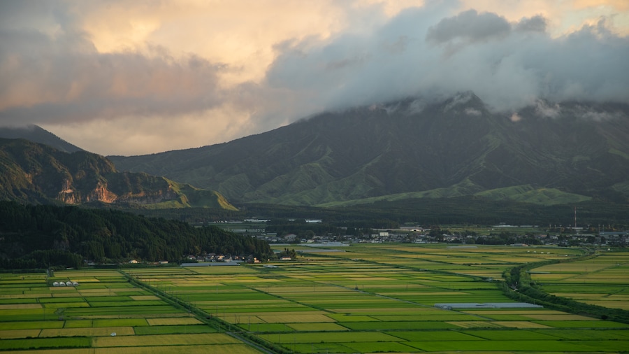 Aso