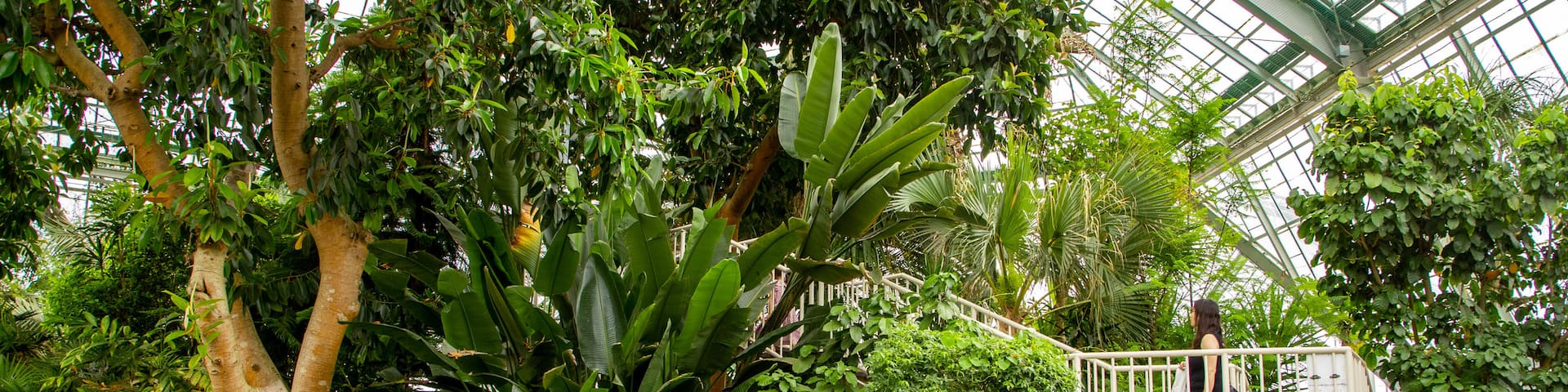 Hakodate Tropical Botanical Garden