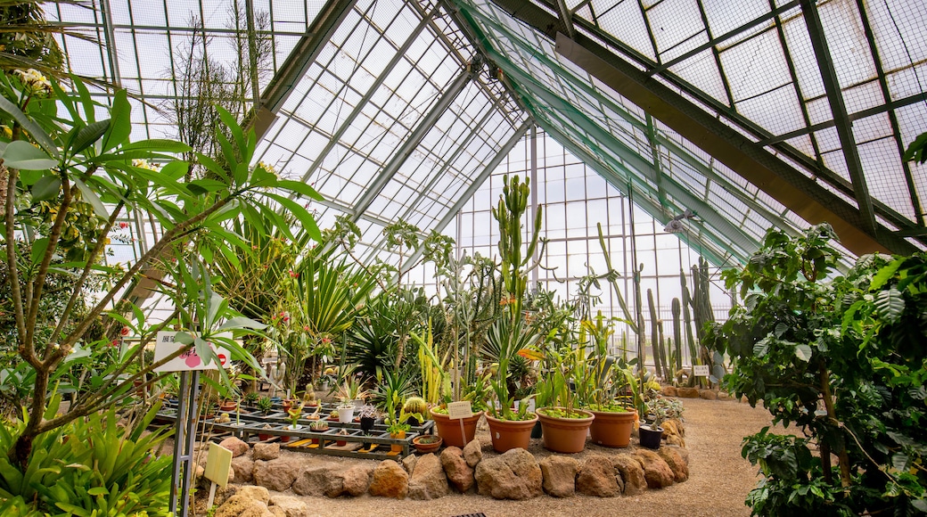 Jardín botánico tropical de Hakodate