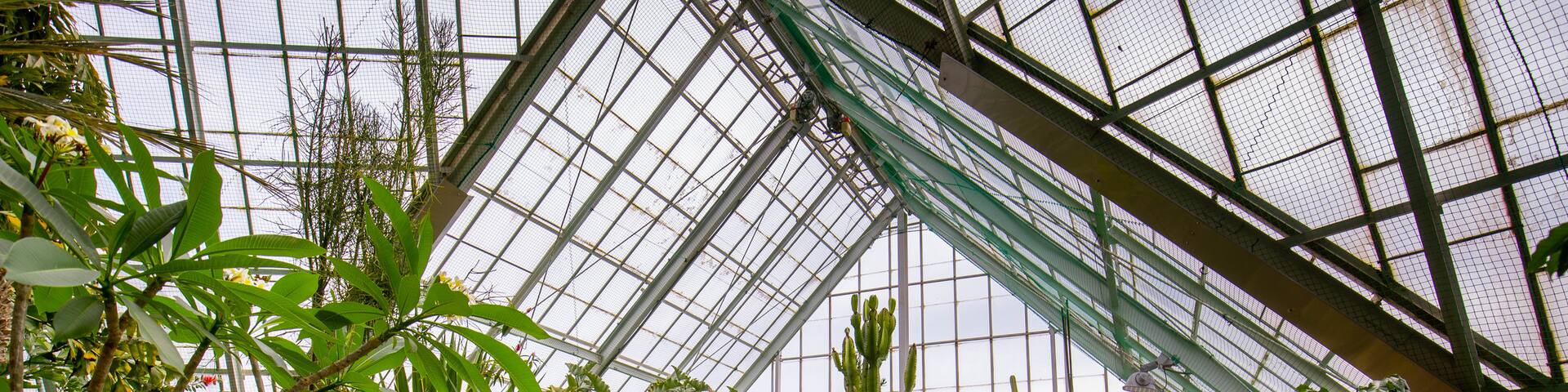 Hakodate Tropical Botanical Garden