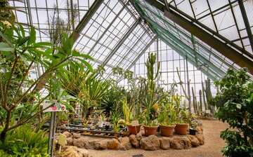 函館市熱帯植物園 函館旅行 エクスペディア 函館市熱帯植物園 函館旅行 エクスペディア