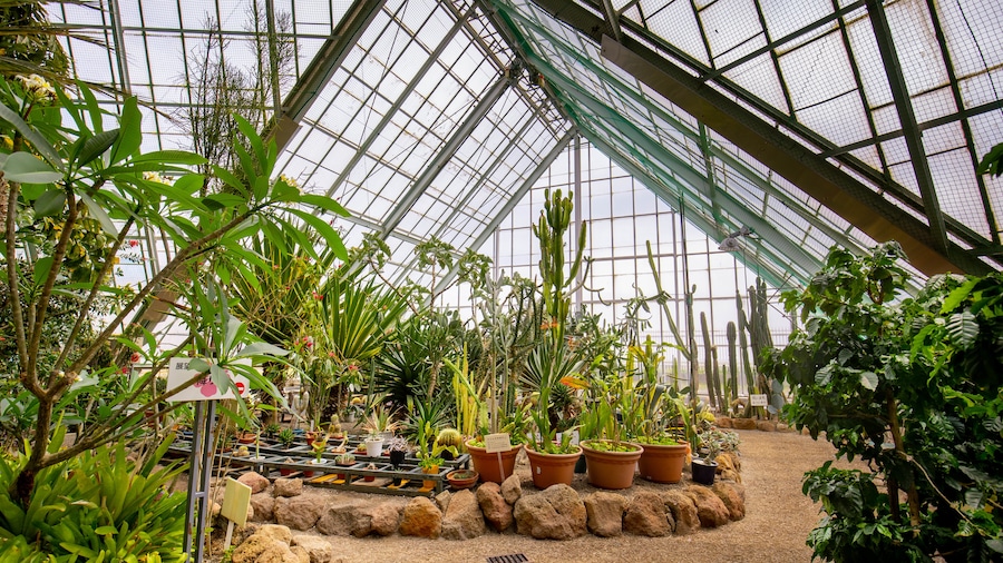 Hakodate Tropical Botanical Garden