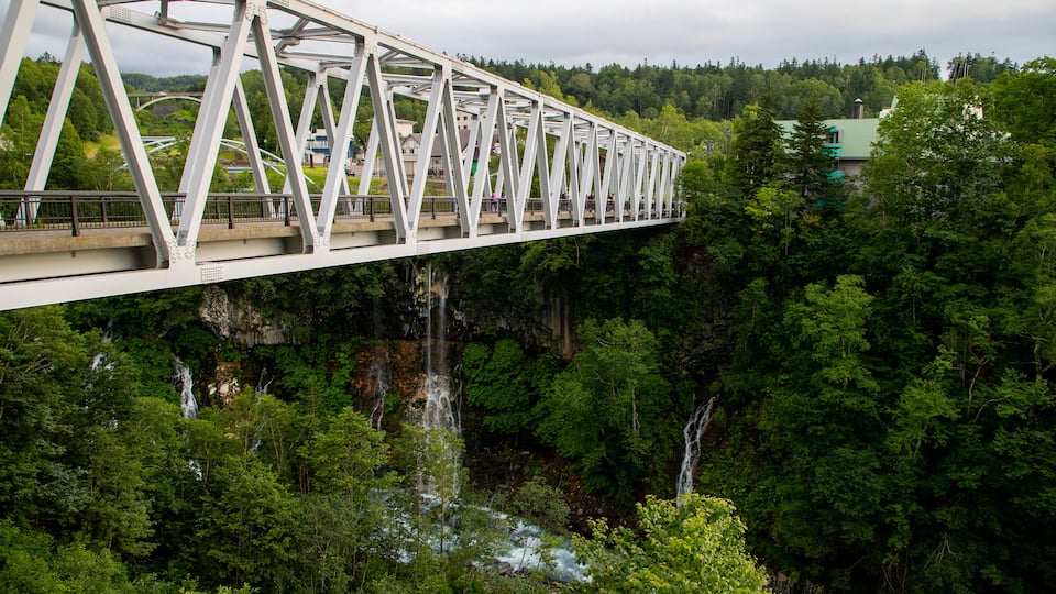 Shirahige Falls featuring forest scenes and a bridge