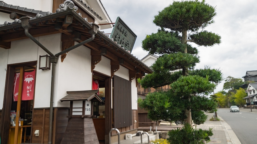 Kitsuki