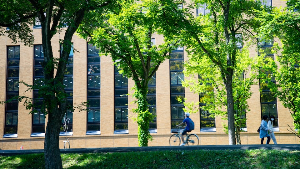 Hokkaido University