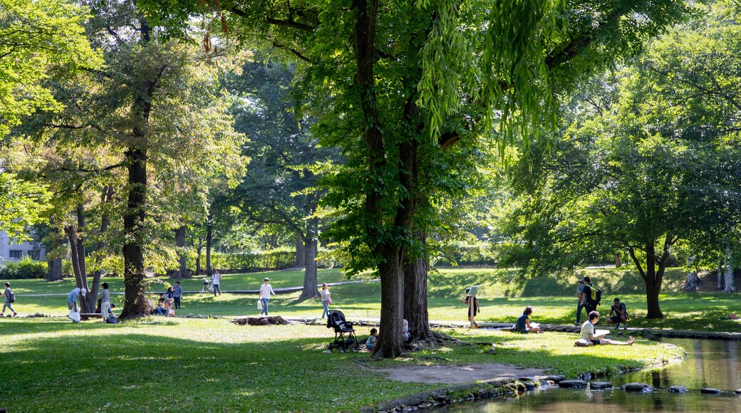 Hokkaido University