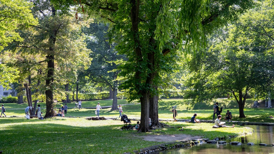 Hokkaido University
