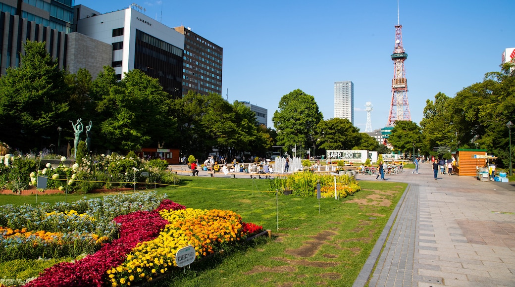 Parque Odori