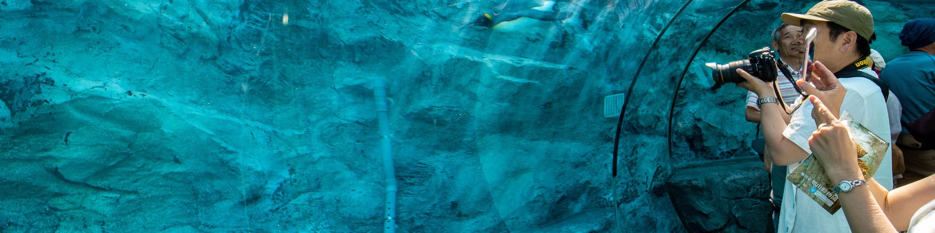 Asahiyama Zoo