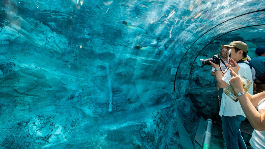Asahiyama Zoologiske Have