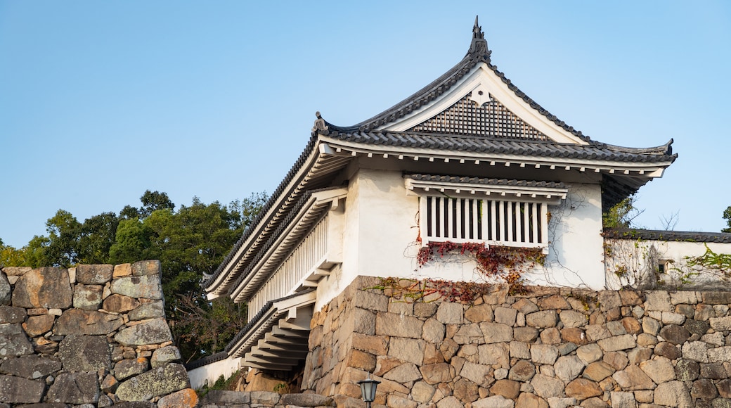 Castillo de Okayama