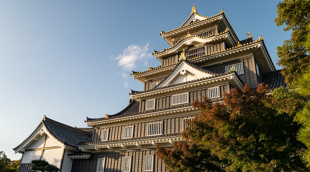 ChĂąteau d'Okayama