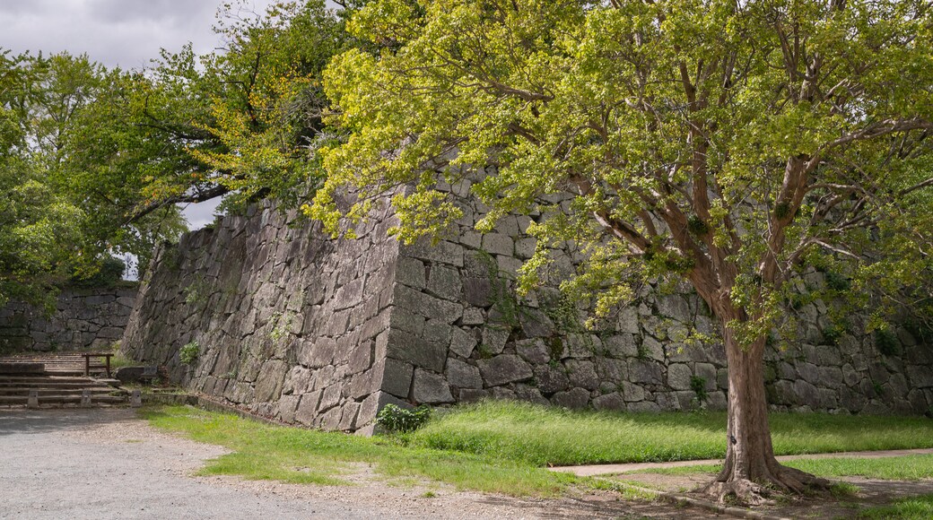 Fukuoka Castle