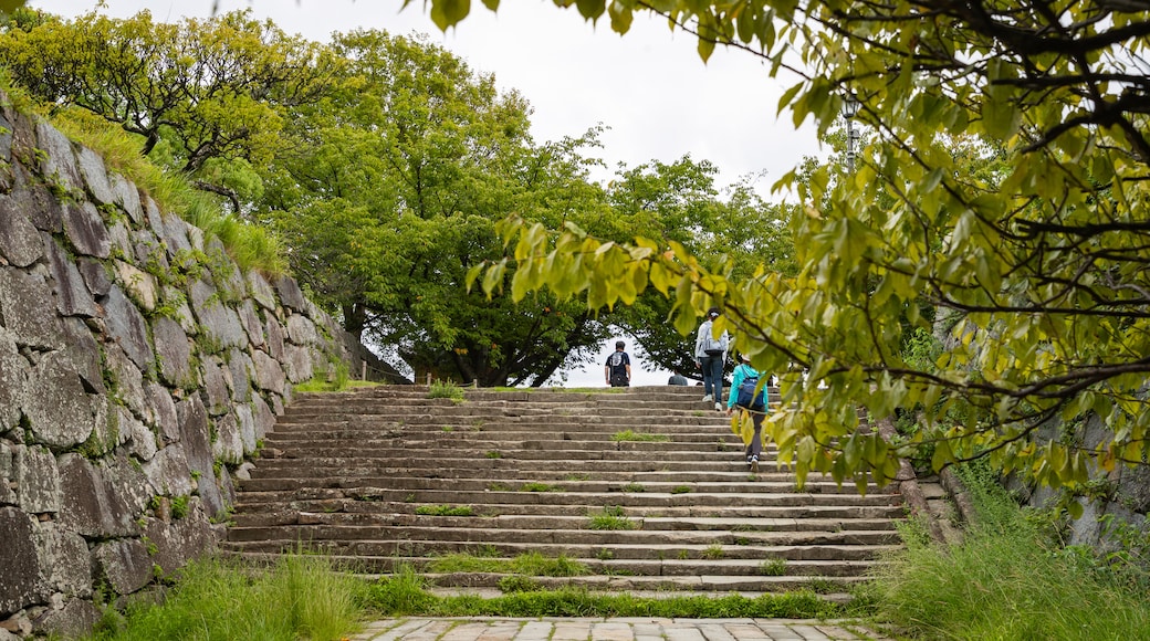 Fukuoka Castle