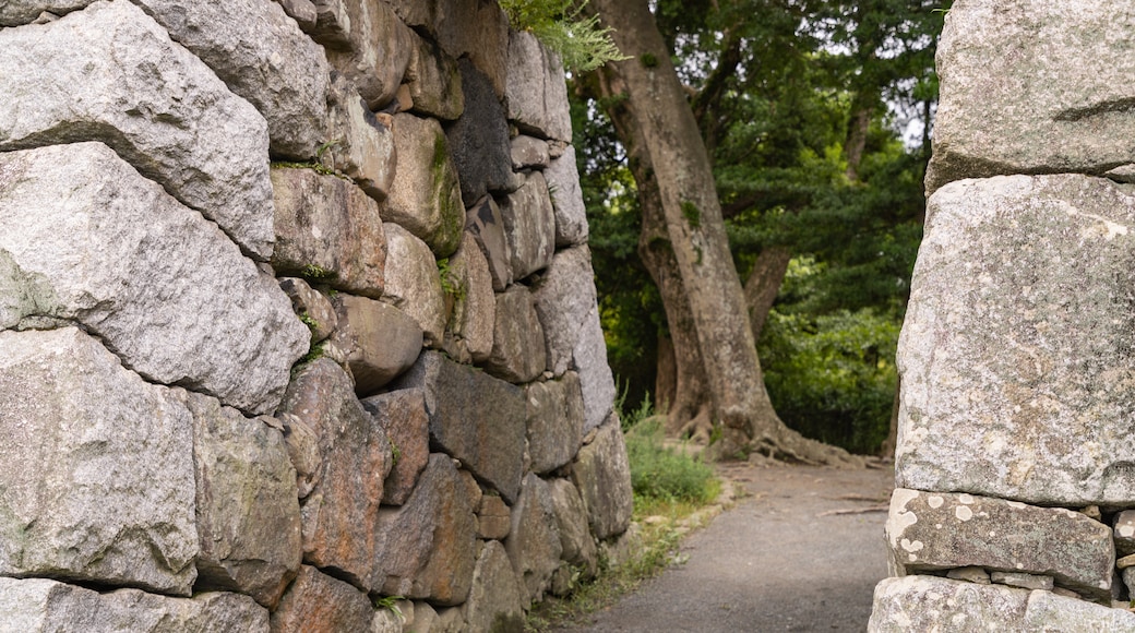 Fukuoka Castle