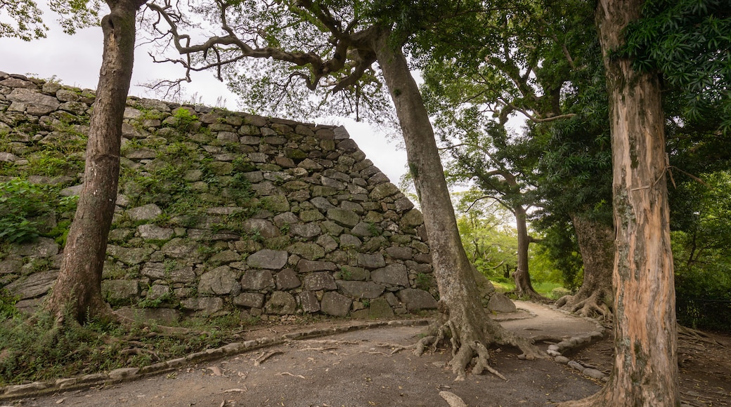 Fukuoka Castle