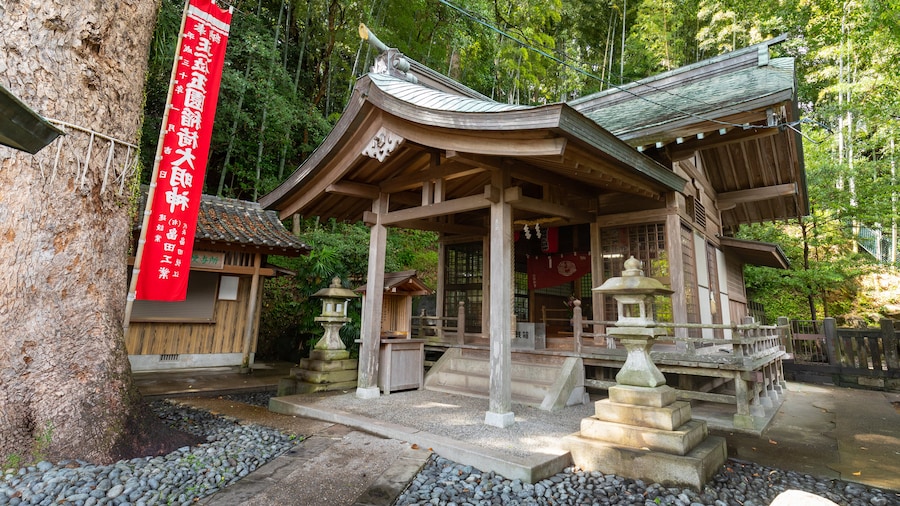 Suwa Shrine