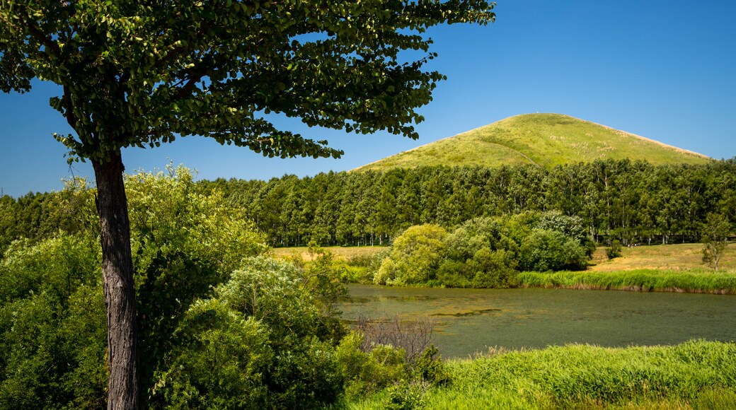 Moerenuma Park