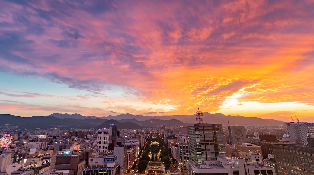 Sapporo TV Tower
