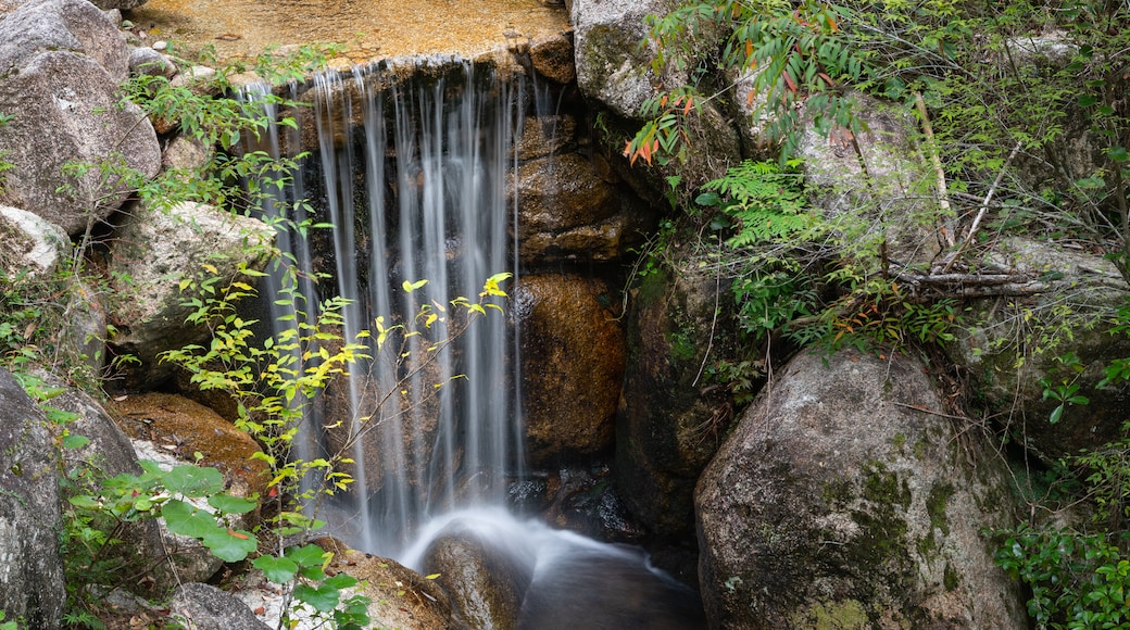 Momijidani Park