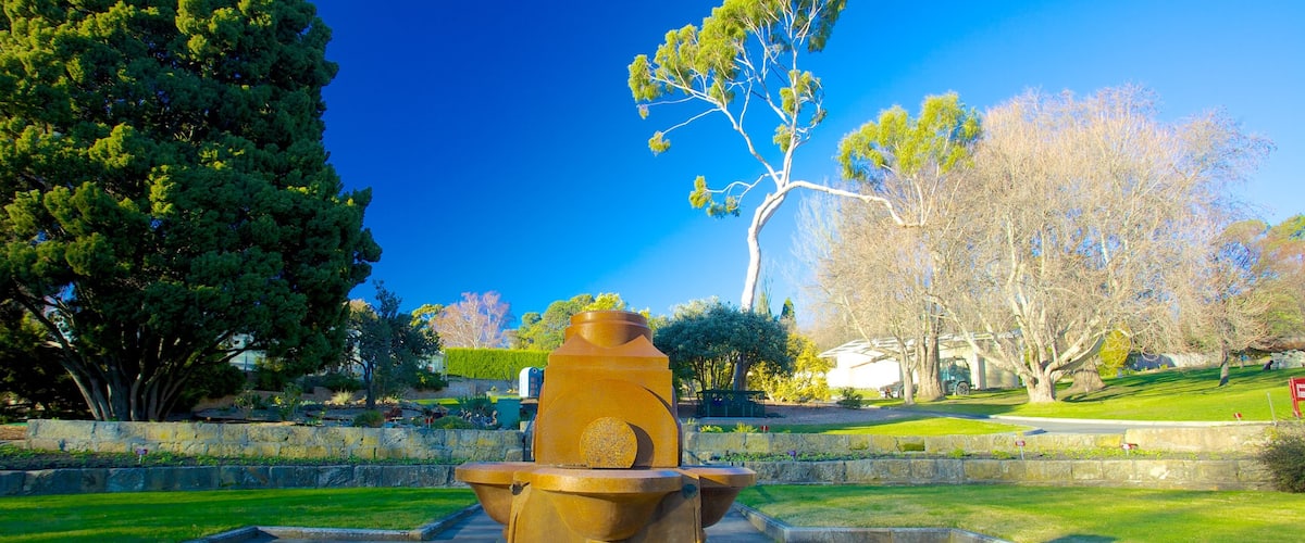 Royal Tasmanian Botanical Gardens showing a garden
