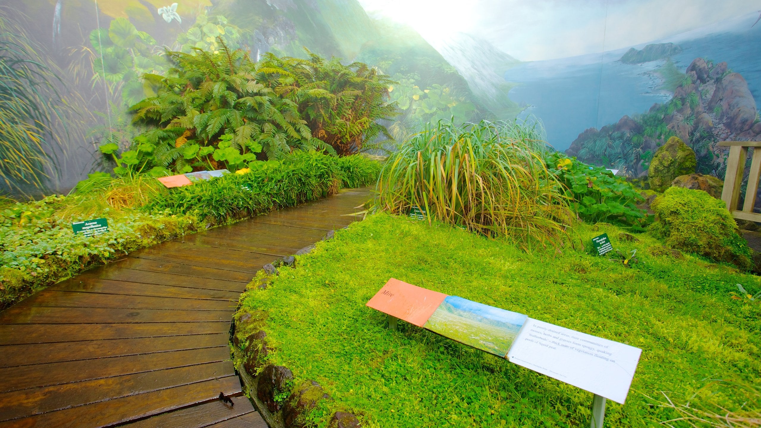 Royal Tasmanian Botanical Gardens featuring a garden