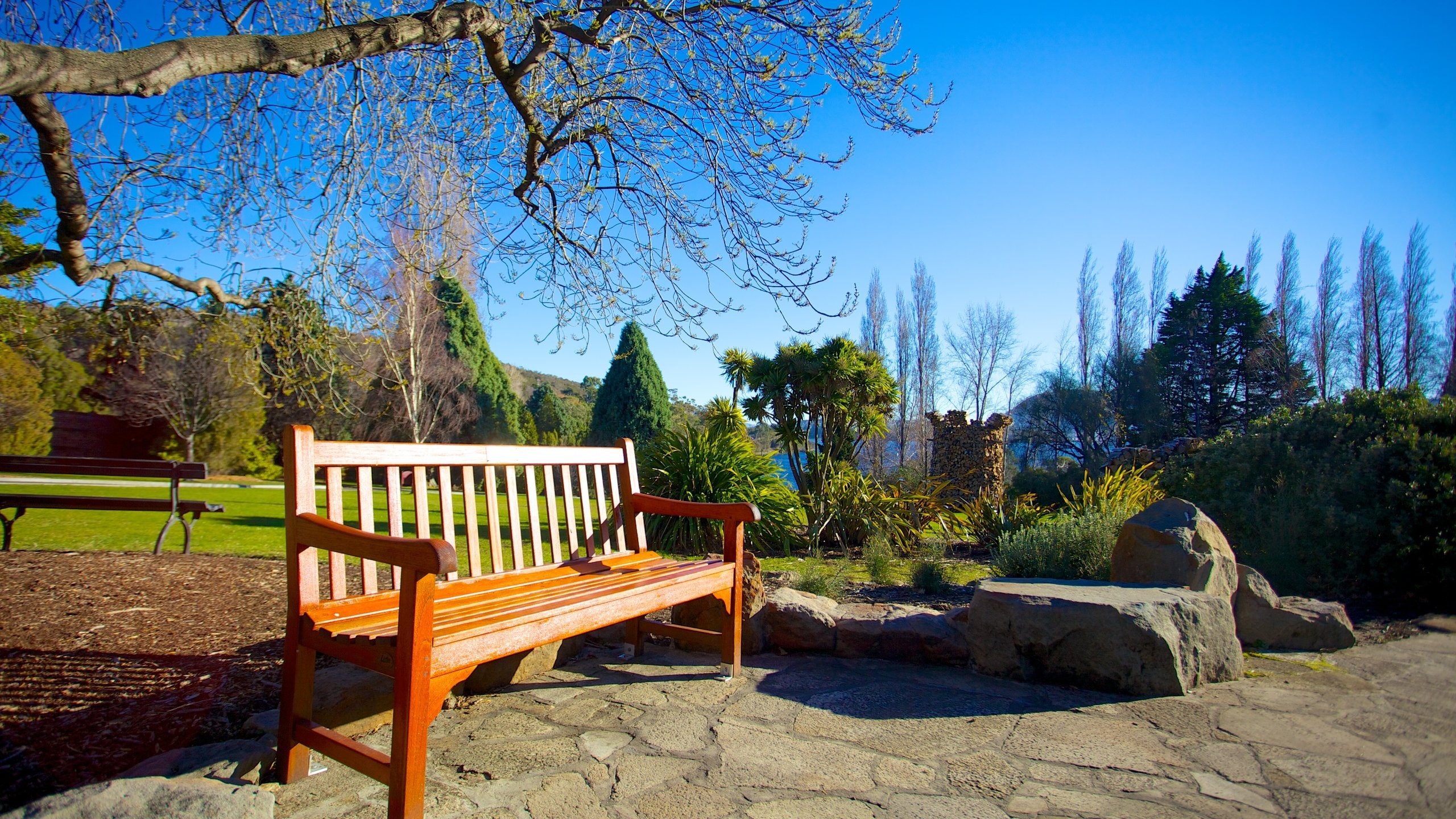 Royal Tasmanian Botanical Gardens showing a garden