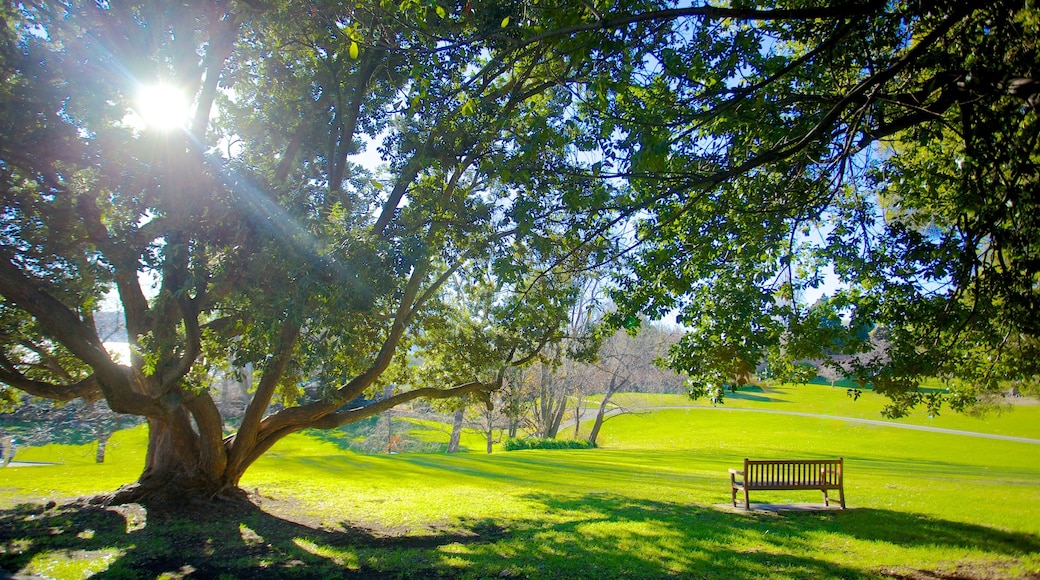 Royal Tasmanian Botanical Gardens showing a park