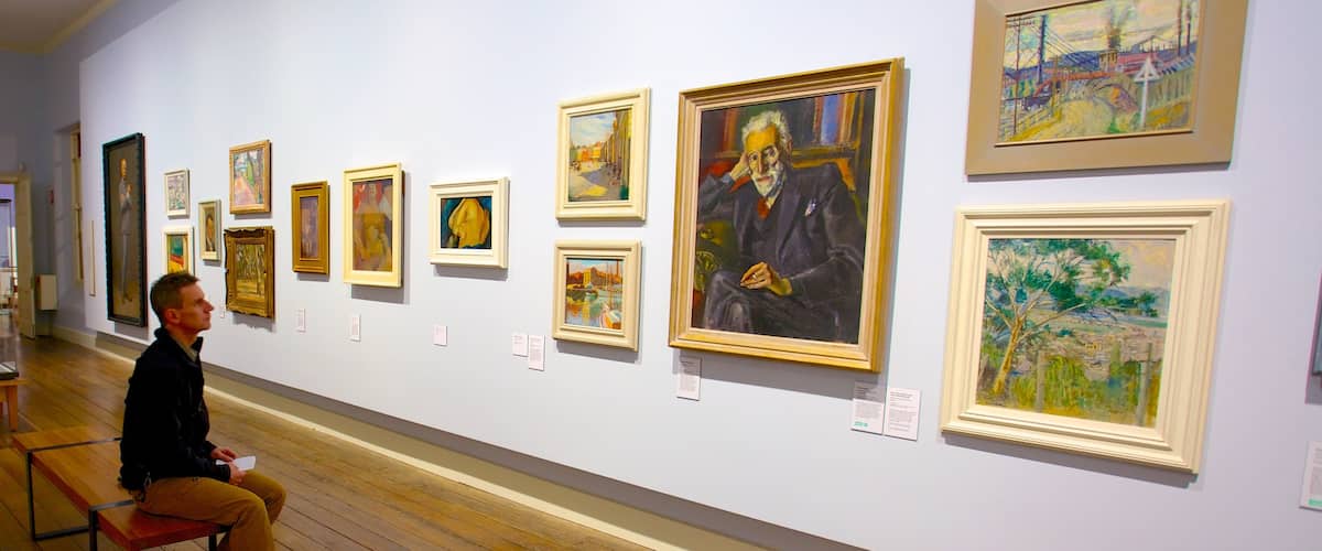 Tasmanian Museum and Art Gallery featuring interior views and art as well as an individual male