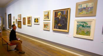 Tasmanian Museum and Art Gallery showing interior views and art as well as an individual male