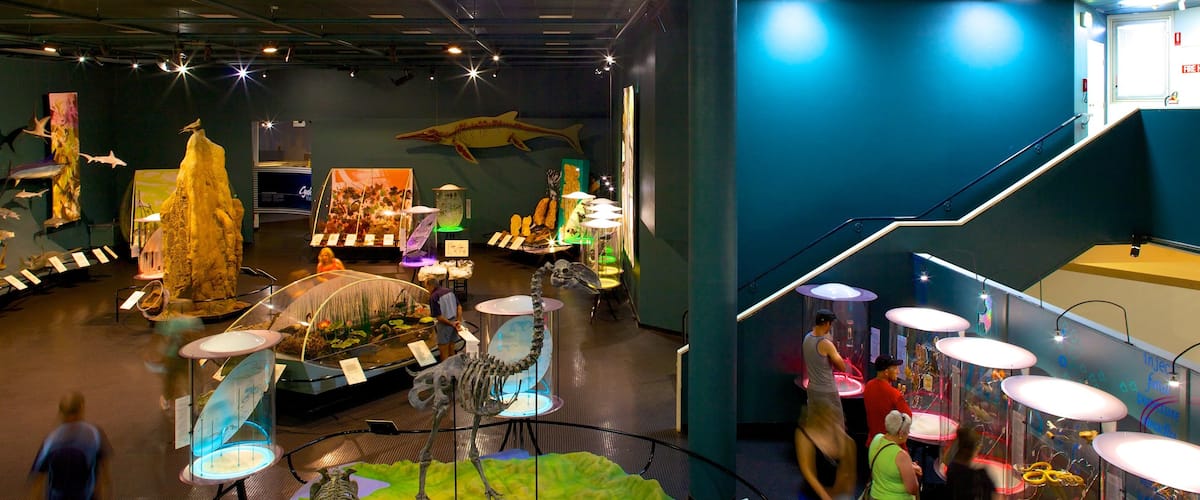 Museum and Art Gallery of the Northern Territory featuring interior views