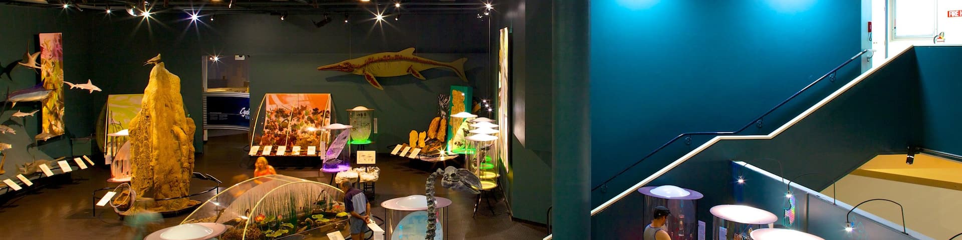 Museum and Art Gallery of the Northern Territory which includes interior views