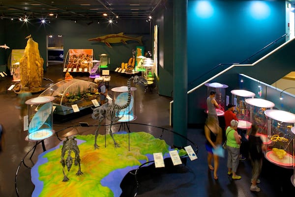 Museum and Art Gallery of the Northern Territory which includes interior views