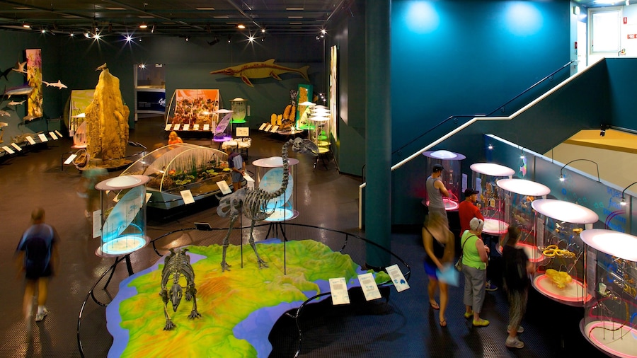 Museum and Art Gallery of the Northern Territory qui includes vues intérieures