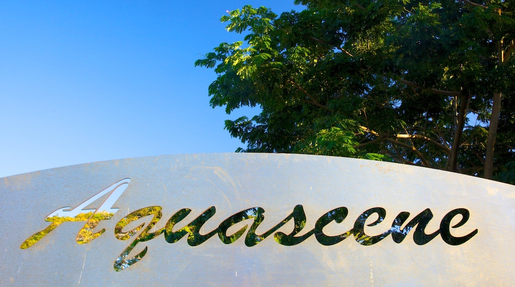 Aquascene featuring signage