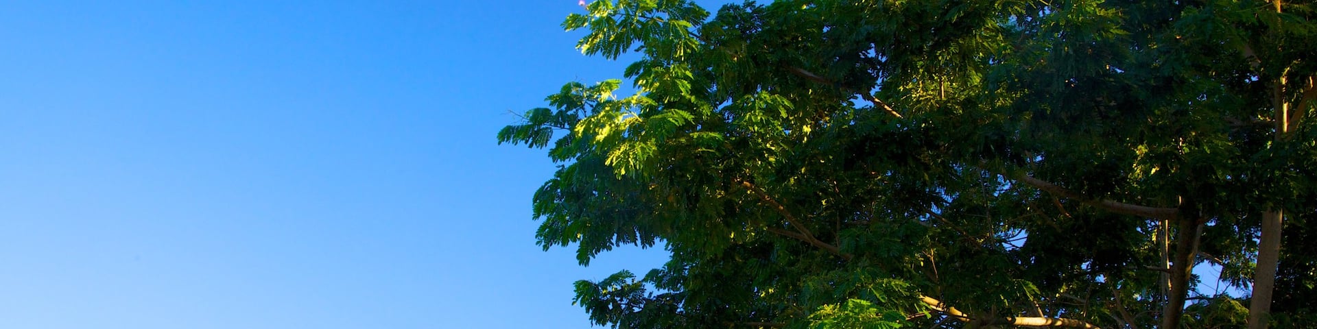 Aquascene showing signage